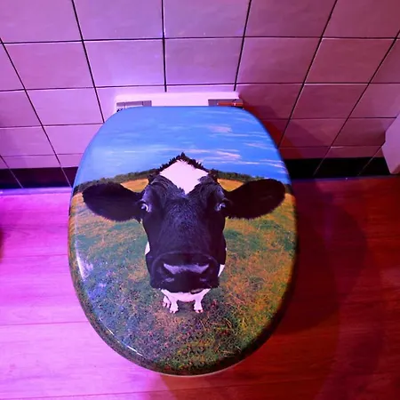 Luettje Swaan Detern